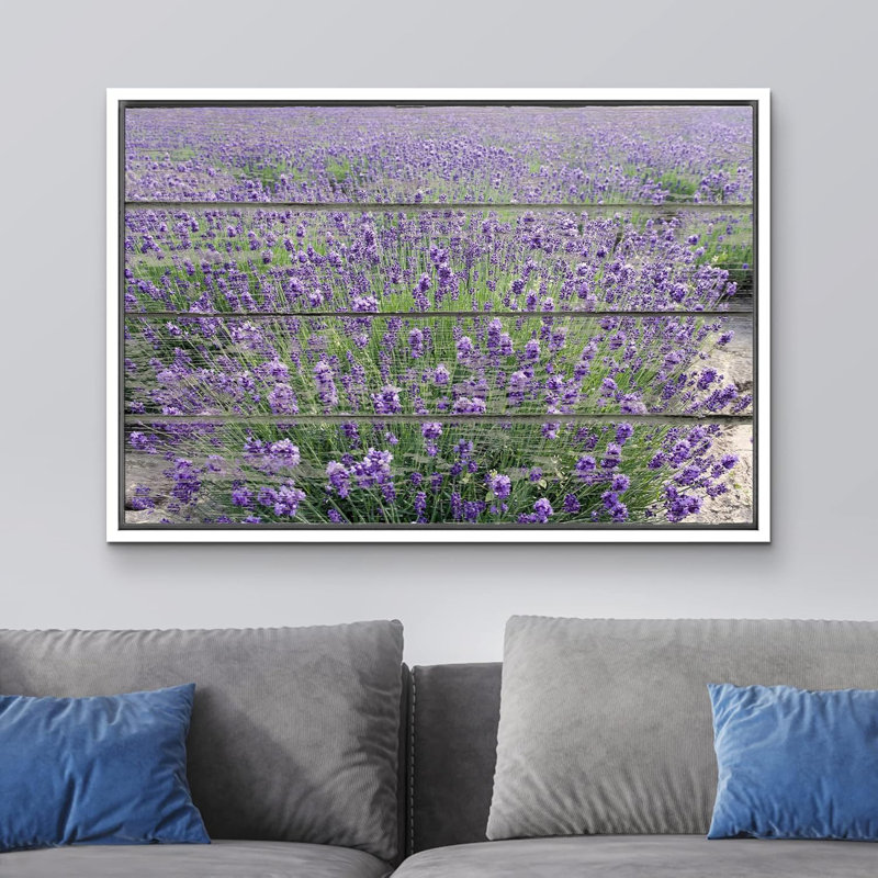 Mauve champ de lavande - impression sur toile tendue, H 16 po x l 24 po, Cadre flottant blanc