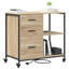 Storage Cabinet-1539117740