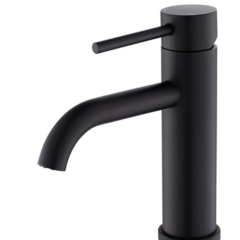 Single Handle Bathroom Faucet Lavatory Faucet Stainless Steel Single Hole-T10, Matte Black