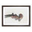 The Scroll of a Violin in Abstract - Framed Print-55770865-55770866