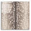 «Sweet Fawn 1 Neutral» par Janelle Penner, art mural en verre acrylique-655404676