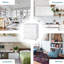 Lothaire 2 - Door Standard Accent Cabinet