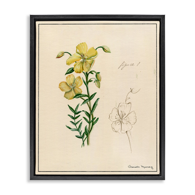 "Science Study", art mural sur toile flottante à fleurs jaunes, design par Danielle Murray, Cadre flottant noir de jais