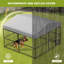 Dog House