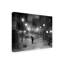 Hoya «Tombe La Neige I», reproduction de photo sur toile tendue-29764032