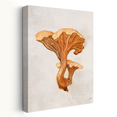 Woodland Mushroom IV contemporain noir gris blanc brun chanterelle