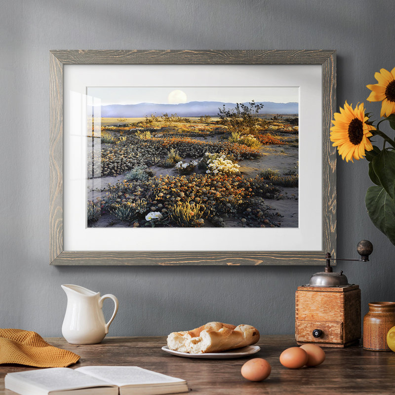 Anza Borrego Desert, reproduction d'art encadrée, Gris, H 22 po x l 32 po x P 1,5 po