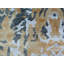 Cassina Wool Oriental Area Rug-25698568