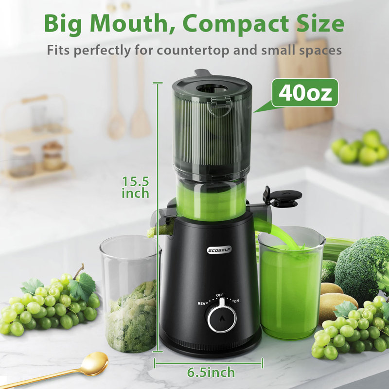 ECOSELF Cold Press Juicer with 4.35" Large Feed Chute Fit Whole Fruits and Vegetables & Easy to Clean, Black
