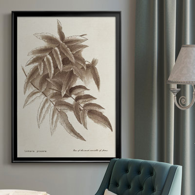 Toile encadrée de qualité supérieure sépia fougères variées IV - prête à être accrochée