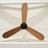  Paddle Smart 52 Indoor Ceiling Fan with Threaded Downrod, Oak ABS blades and Handheld Remote-873247434-873247445-988797975
