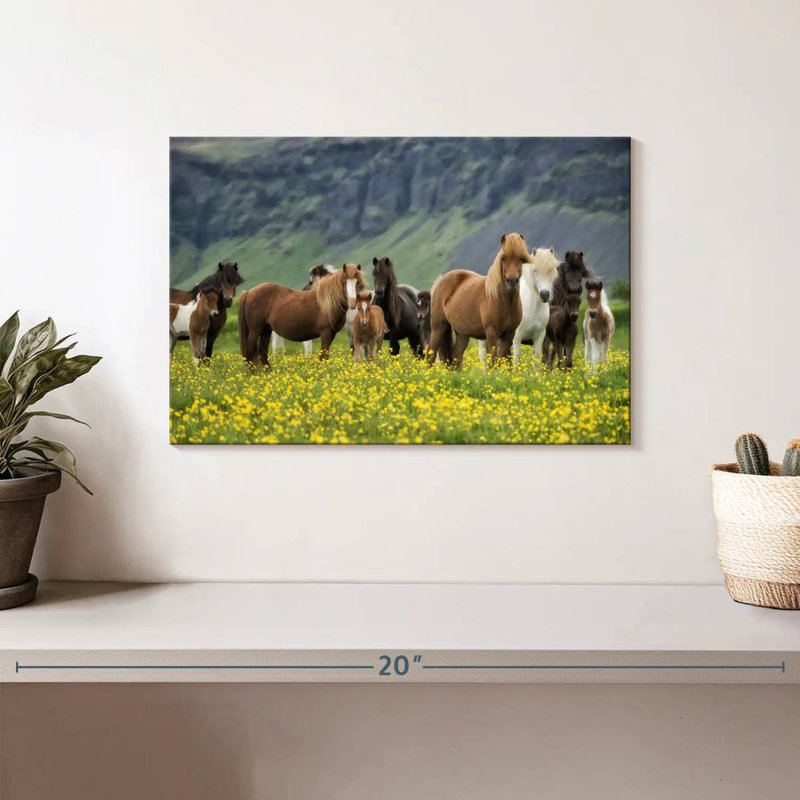 Icelandic Horses I, 8" H x 12" W