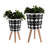 Versatile Planter with Wood Legs for Various Plants and Settings
