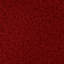 Sherpa Teddy | Kova Fabric-1253050765