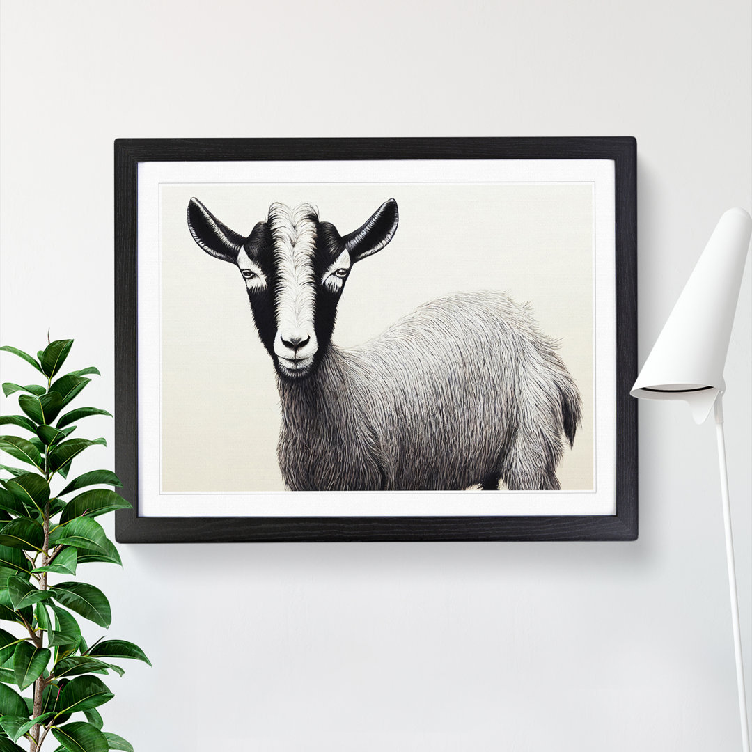 Portrait Of A Goat - Single Picture Frame Print