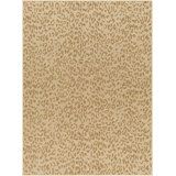 Indoor / Outdoor Rug