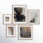 Capullo Wood Picture Frame - Set of 5 with Mat-69944198