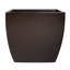 Alexy Pacifica Flower Box-589427902-589427889