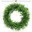 Couronne réaliste en polychlorure de vinyle (PVC) 24 po Realistc