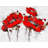 Abstract Poppy Flowers Print On Canvas
