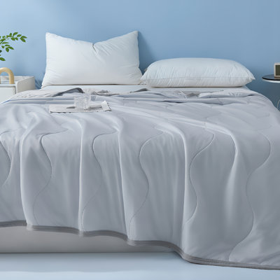 Édredon ultra doux et respirant pour courtepointe ultra douce et rafraîchissante, couverture mince et agréable pour la peau toutes saisons, literie lavable à la machine pour chambre d'amis, 39,37 po x 59,06 po