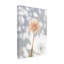 Fleur fanée, serre 2-718131629