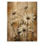 Fleur de marguerites brunes rétro I sur bois-1248627325
