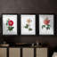 Botanical Beauty I - Impression personnalisée de qualité supérieure avec cadre mat - 3 pièces-1423773596-1423773599