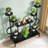Sheneza Plant Stand-723361386