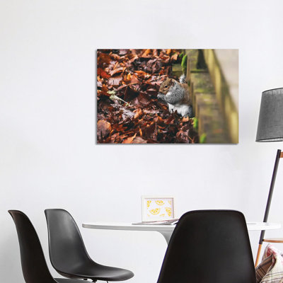 Hidden Squirrel 1 Piece Wrapped Canvas Painting