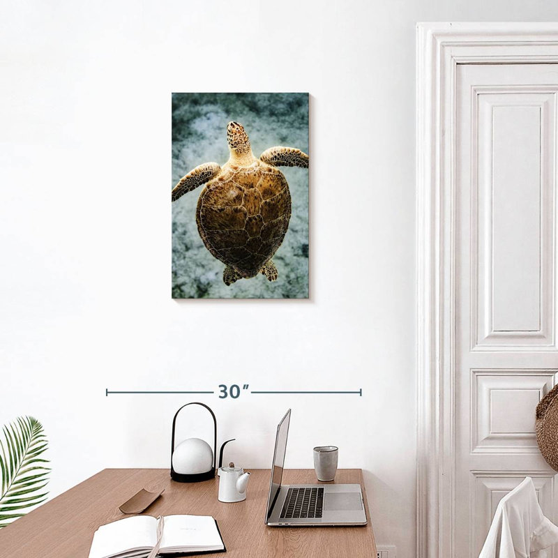 Brampt Virgin Islands Turtle, 24" H x 16" W