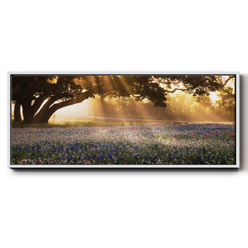 Morning Meadow - toile encadrée, H 12 po x l 30 po