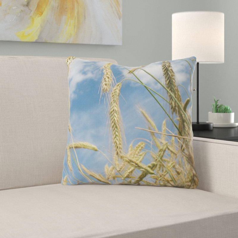 Coussin en céréales