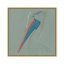 Coastal Retreat Coastal Drift: Pelican-1380945425-1342833598-1342833590
