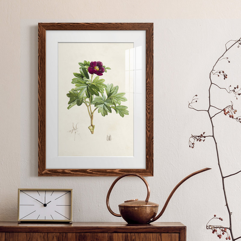 «Pretty Botanicals III», cadre photo, H 32 po x l 23 po x P 1 po, Cadre en érable
