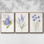 Ensemble de 3 cadres flottants sur toile-97754218-97754223