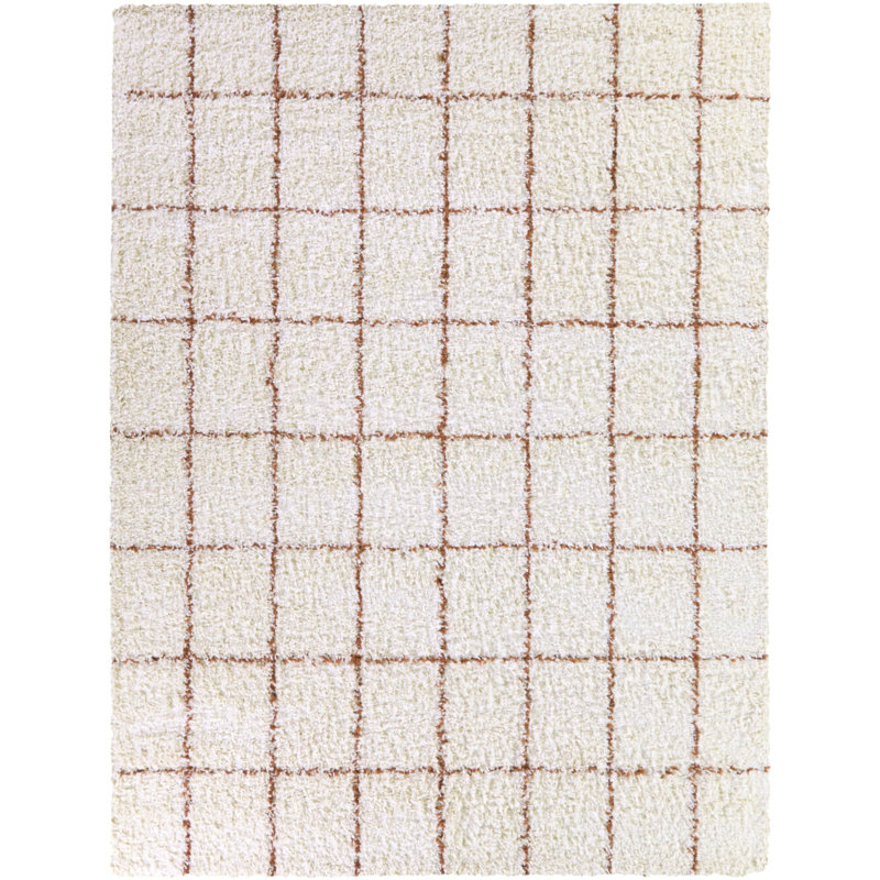Tapis orange à poils longs Melinda, Rectangle 5 pi 3 po x 7 pi