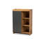 Armoire de rangement à chaussures 12 paires Merrick