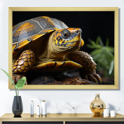 " Closeup Turtle Portrait I "