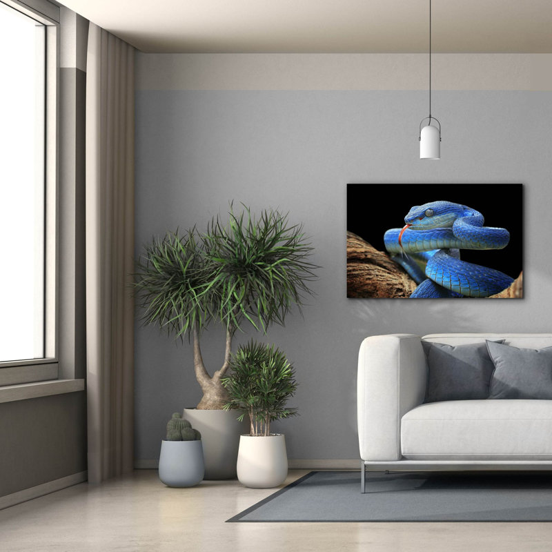 «Blue Viper Snake» par Epic Portfolio, art mural sur toile, H 26 po x l 40 po x P 1,5 po