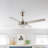 52" Haymond 4 - Blade Reversible LED Ceiling Fan with Remote Control and Light Kit