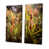 Wrapped Canvas