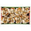 Sparkling Magnolia Bloom - 7 Inches-1704217158