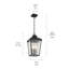 Luminaire suspendu d'extérieur 19,75 po 4 lumières avec verre d'eau transparent