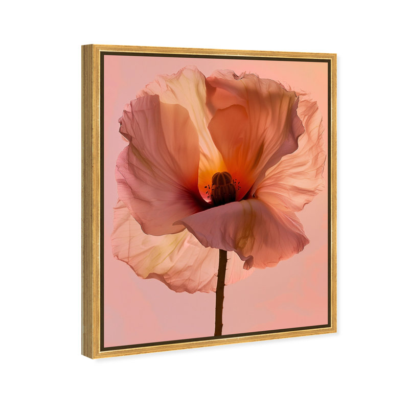 Amber Radiance I Print by Oliver Gal, 21"H x 25"W, Gold Floater Frame
