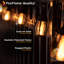 Guirlande solaire Fox Flame (10 lumières)