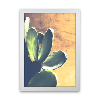 Cactus - Print