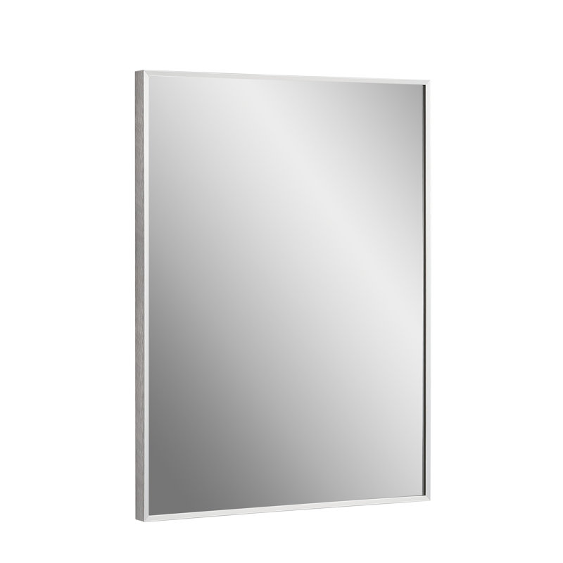 Raul Stainless Steel Frame Rectangle Wall Mirror, Brushed Steel