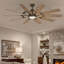 Ventilateur de plafond 65 lumières à DEL 65 po avec télécommande et ensemble d'éclairage inclus Barn 65-43006879