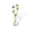 Artificial Green Plant Dragon's Blood Tree Agave Fake Tree Plant Pot